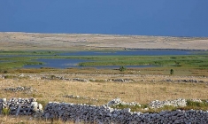 Ornitološki rezervat